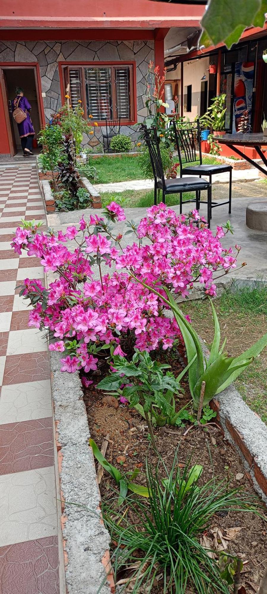 Pokhara Metro Eco Hotel Εξωτερικό φωτογραφία